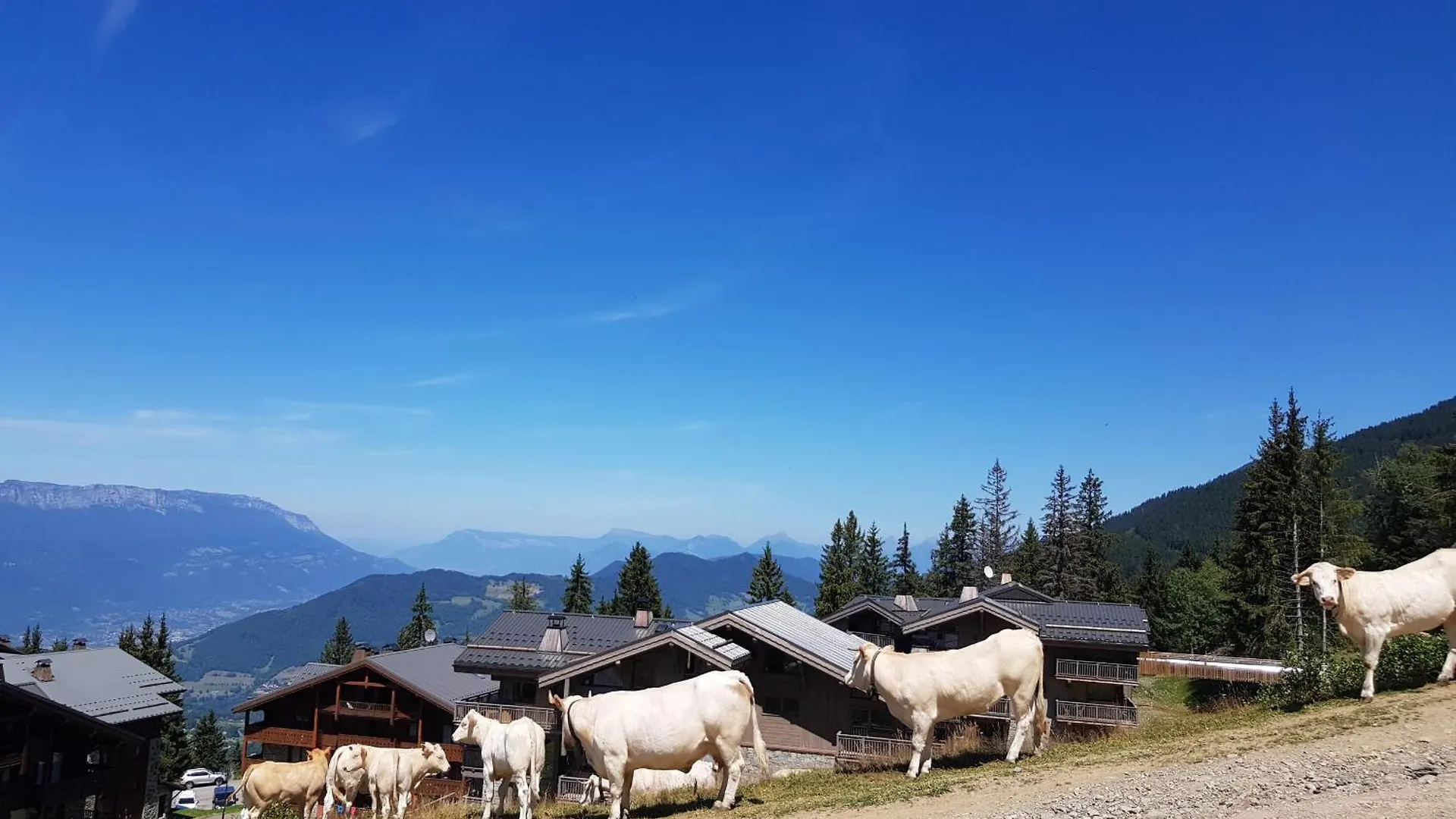 Les 7 Laux Immobilier Chalet E Prapoutel Frankrijk