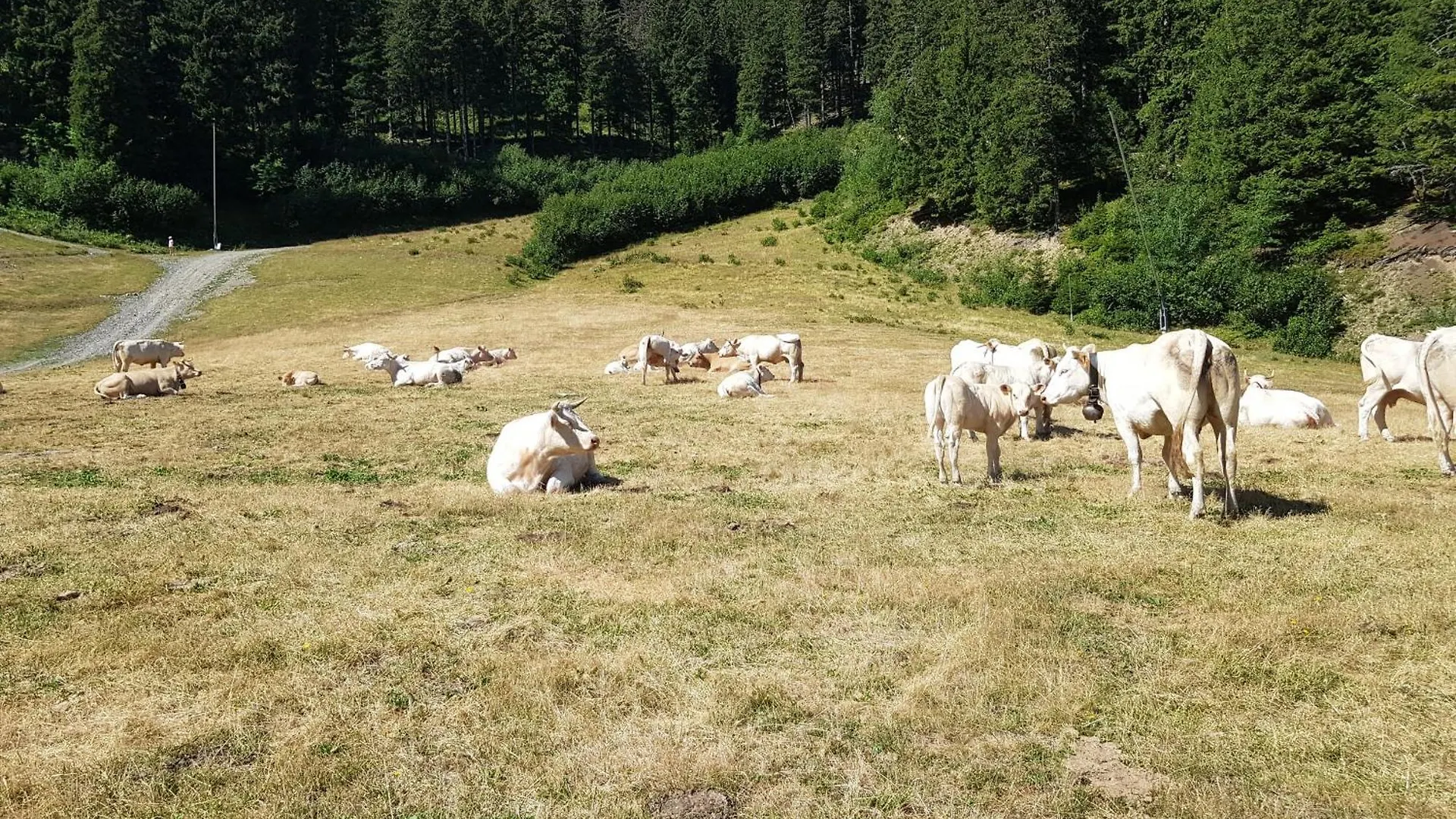 Les 7 Laux Immobilier Chalet E Prapoutel 0*,  Frankrijk