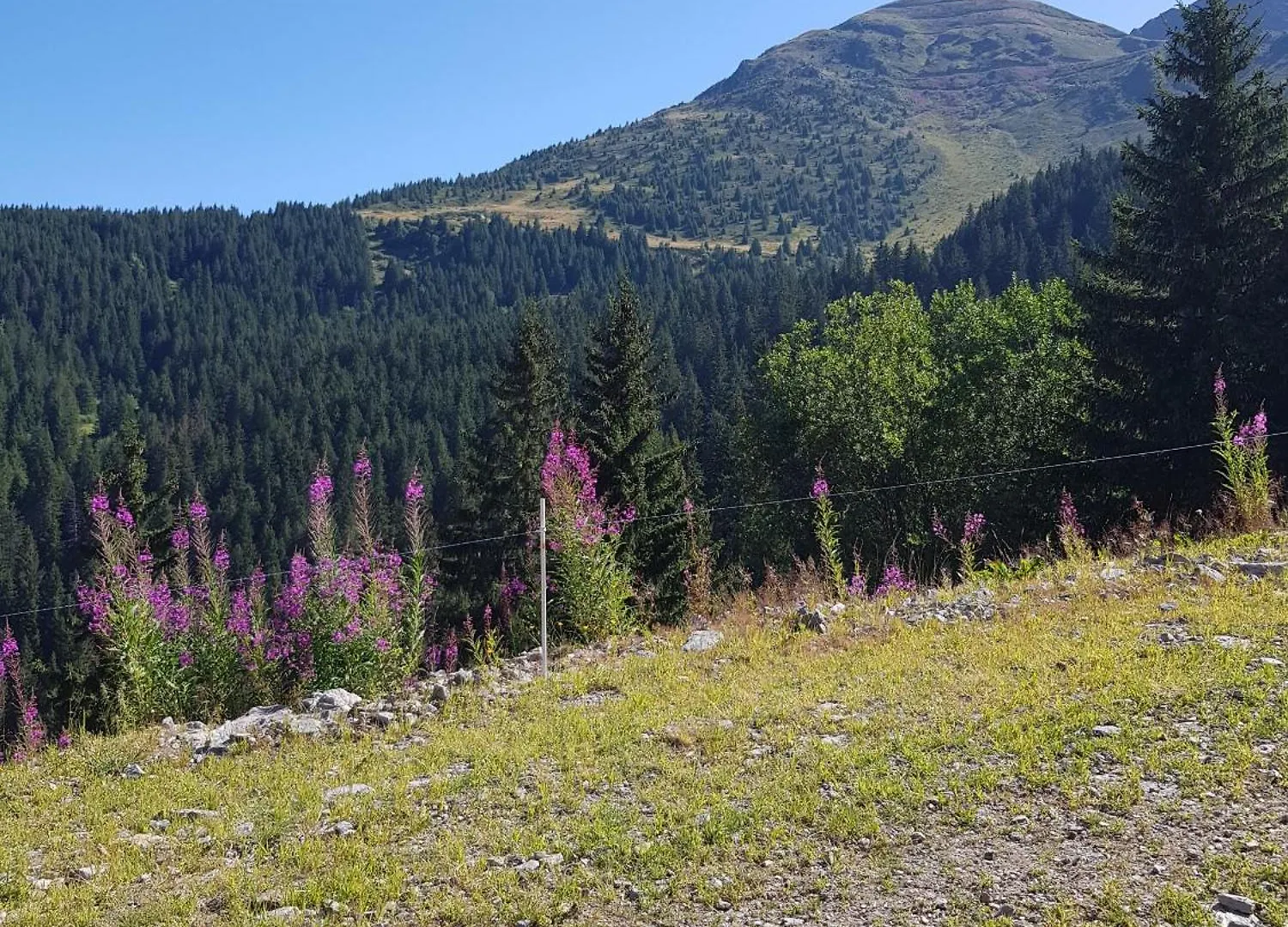 Appartement les 7laux immobilier chalet E Prapoutel